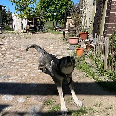 아파트 Ostseenaehe, Auch Fuer Handwerker
