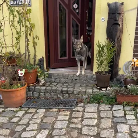 Ostseenaehe, Auch Fuer Handwerker * Passee